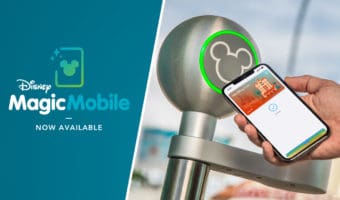How to use Disney MagicMobile