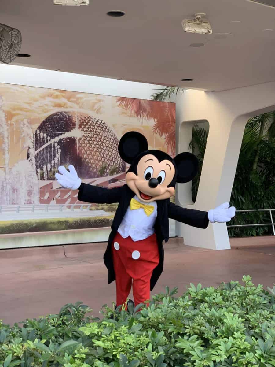 Disney Character Sightings meet and greet at Disney World Mickey Mouse